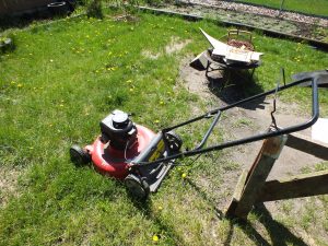 Lawnmower Removal